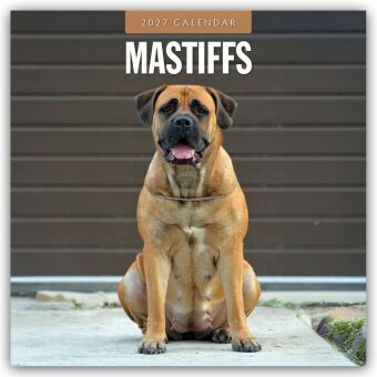 Mastiffs - Mastiff 2027 - 16-Monatskalender