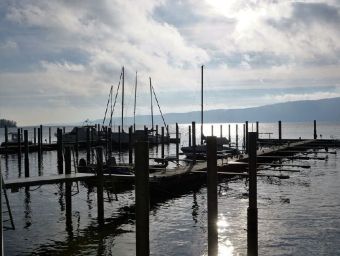 Ludwigshafen am Bodensee - 500 Teile (Puzzle)