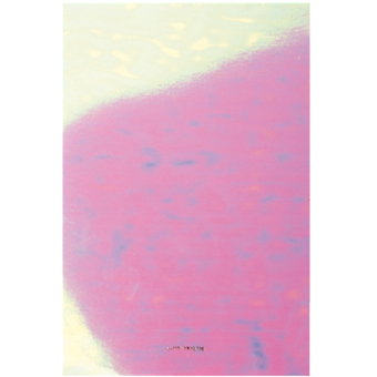 Notizblock irisierend FSC MIX