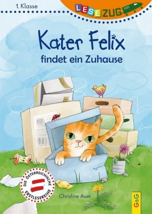 LESEZUG/1. Klasse: Kater Felix findet ein Zuhause