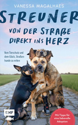 Streuner - von der Straße direkt ins Herz