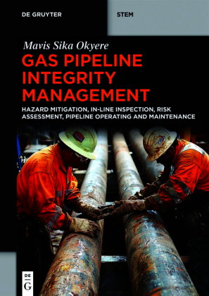 Gas Pipeline Integrity Management