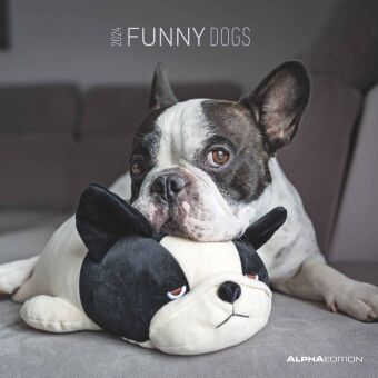 Funny Dogs 2024 - Broschürenkalender 30x30 cm (30x60 geöffnet) - Kalender mit Platz für Notizen - Hu