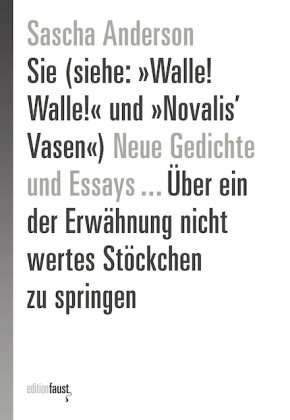 Neue Gedichte Sie (siehe: »Walle! Walle!« und »Novalis' Vasen«) und Essays ... Über ein der Erwähnun