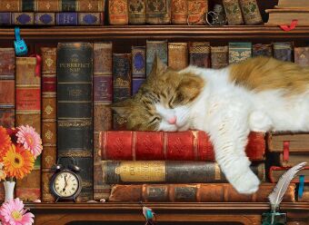 Cat Nap Tin (Puzzle)