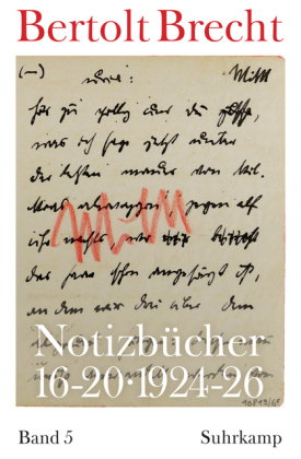 Notizbücher 16-20