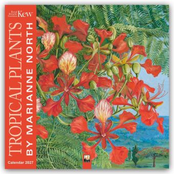 Marianne North, Tropical Plants - Tropische Pflanzen 2027 - Original Flame Tree Publishing-Kalender