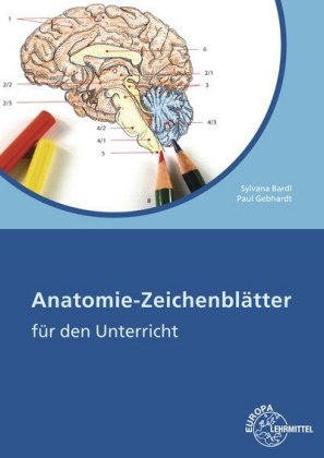 Anatomie Zeichenblätter Arbeitsheft