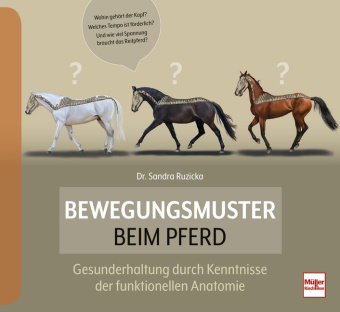 Bewegungsmuster beim Pferd