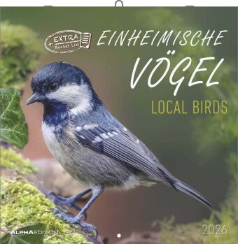 Alpha Edition - Einheimische Vögel Kalender 2026 - Wandkalender 30×30 cm (30×60 geöffnet) mit Vogelm