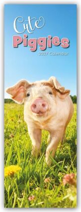 Cute Piggies - Süße kleine Schweinchen - Slimline-Kalender 2027