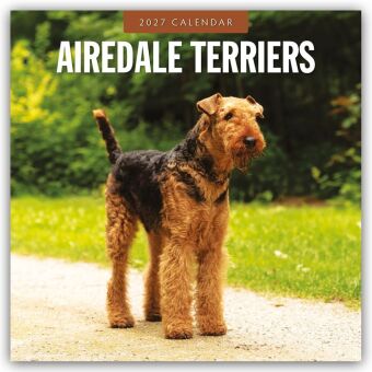 Airdale Terriers - Airdale Terrier 2027 - 16-Monatskalender