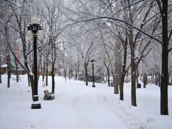 Winnipeg - 1.000 Teile (Puzzle)