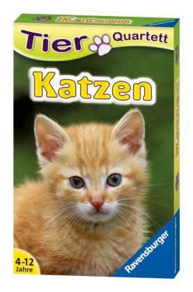 Tierquartett Katzen - Kartenspiel ab 4 Jahre