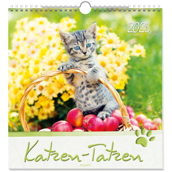 Katzen-Tatzen 2026