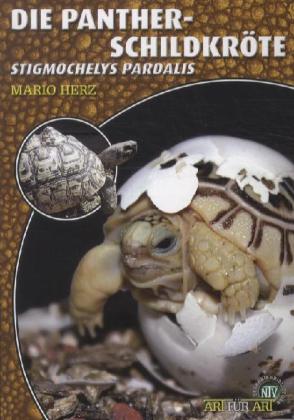 Die Pantherschildkröte