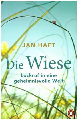 Die Wiese