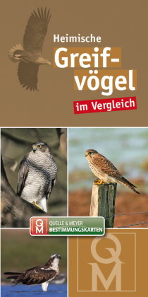 Heimische Greifvögel im Vergleich, Bestimmungskarte