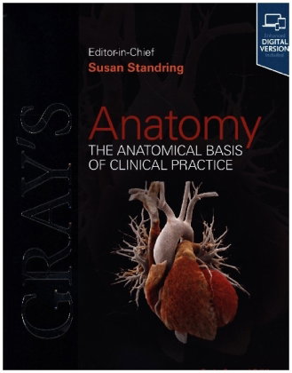 Gray's Anatomy