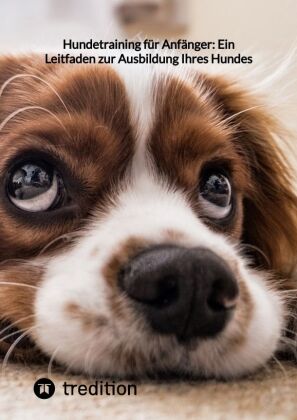 Hundetraining für Anfänger: Ein Leitfaden zur Ausbildung Ihres Hundes
