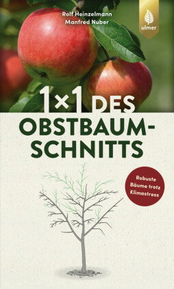 1 x 1 des Obstbaumschnitts