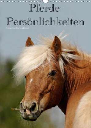 Pferde-Persönlichkeiten - ausdrucksstarke Gesichter verschiedener Pferderassen (Wandkalender 2018 DI