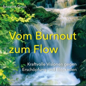 Vom Burnout zum Flow, 4 Audio-CDs