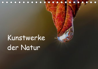 Kunstwerke der Natur (Tischkalender 2019 DIN A5 quer)