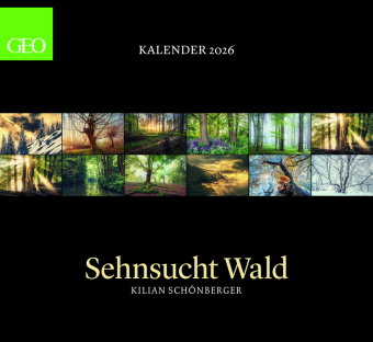 GEO - Kalender: Sehnsucht Wald 2026 - Wandkalender 60x55 cm, Naturkalender mit stimmungsvollen Waldf