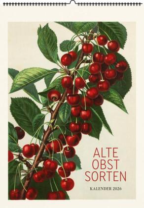 Alte Obstsorten. Wandkalender 2026