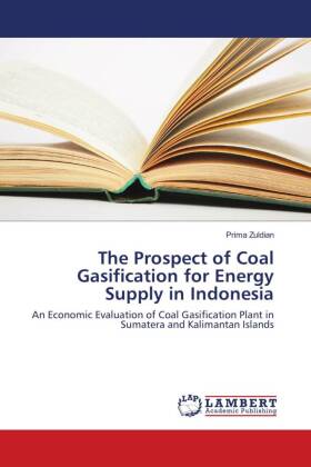 The Prospect of Coal Gasification for Energy Supply in Indonesia