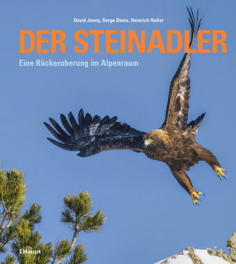Der Steinadler