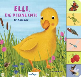 Mein erstes Jahreszeitenbuch: Elli, die kleine Ente