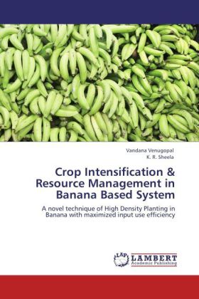 Crop Intensification & Resource Management in Banana Based System