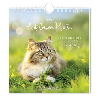 Postkartenkalender 2027 Auf leisen Pfoten