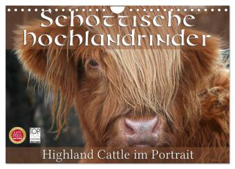 Schottische Hochlandrinder - Highland Cattle im Portrait (Wandkalender 2024 DIN A4 quer), CALVENDO M