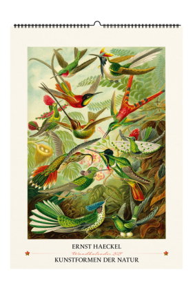 Ernst Haeckel. Kunstformen der Natur. Wandkalender 2027