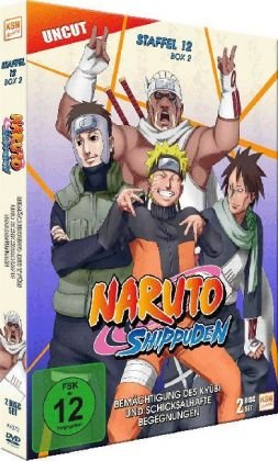Naruto Shippuden - Bemächtigung des Kyubi und schicksalhafte Begegnungen, 2 DVD