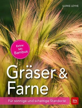 Gräser & Farne