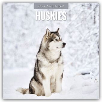 Huskies - Husky - Huskys 2027 - 16-Monatskalender
