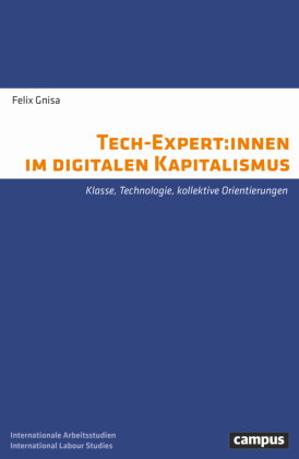Tech-Expert:innen im digitalen Kapitalismus