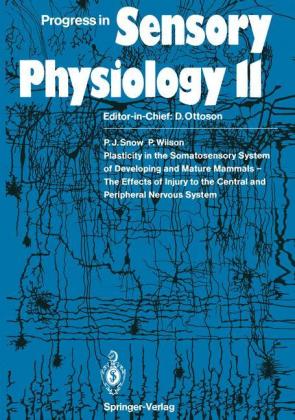 Plasticity in the Somatosensory System of Developing and Mature Mammals - The Effects of Injury to t