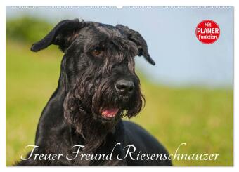 Treuer Freund Riesenschnauzer (Wandkalender 2024 DIN A2 quer), CALVENDO Monatskalender