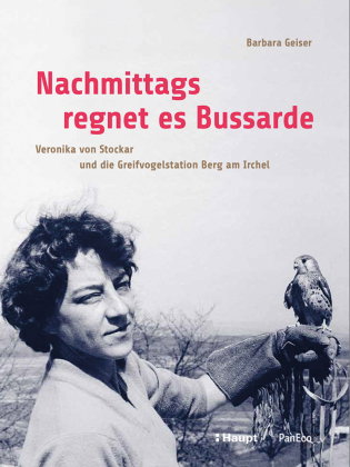 Nachmittags regnet es Bussarde