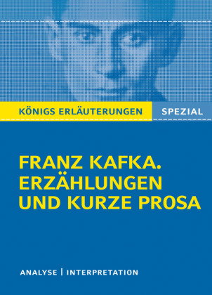 Franz Kafka. Erzählungen und kurze Prosa