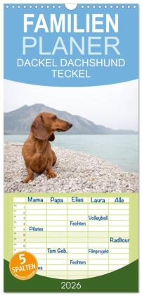 Familienplaner 2026 - DACKEL DACHSHUND TECKEL 2026 mit 5 Spalten (Wandkalender, 21 x 45 cm) CALVENDO