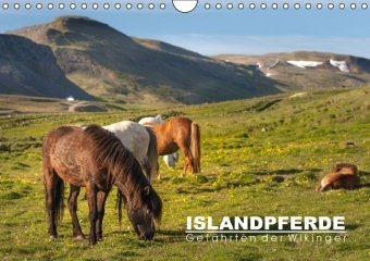Islandpferde: Gefährten der Wikinger (Wandkalender immerwährend DIN A4 quer)