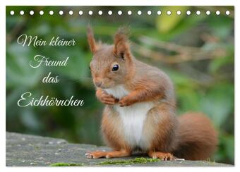 Mein kleiner Freund das Eichhörnchen (Tischkalender 2024 DIN A5 quer), CALVENDO Monatskalender