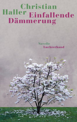 Einfallende Dämmerung