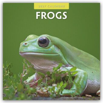 Frogs - Frosch - Frösche 2027 - 16-Monatskalender
